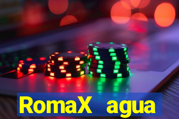 RomaX agua sanitaria fispq agua sanitaria romax